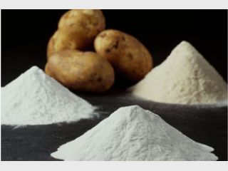 ����������� ������������ ������ ��������� ��������