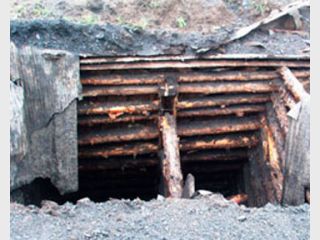 �� ��������� ����� 50 �������� 