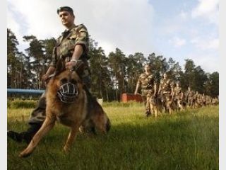 ������ �������� ������������ ��������� �������������