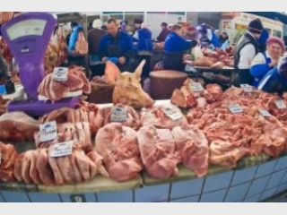 ������� ����� �������� ����������� ����������� ������� 