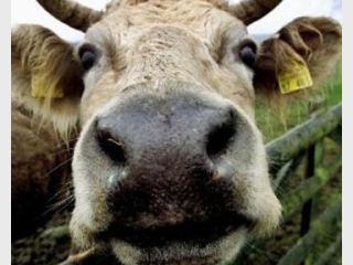 �� ���������� ���������� ������� ���������