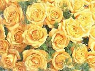 ������� �������� 1 ��� ������ �� ����� ������ ������ � ������ 