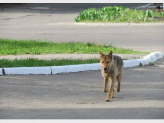 � ������� ����� ������� �������� �� ����� � ������� ����