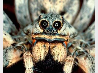 ����������� ���� �������� �������� � ��������� 200 ����������