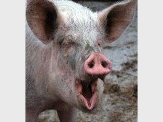 �� ��������� � �������� &mdash; ������� ����������� ���� ������