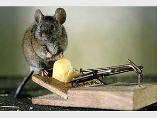 ������ �� ������� ��������� �� ���������� ���������� 