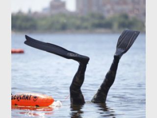 ����������� ���� �������� ���������