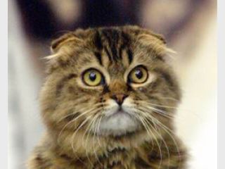 � ������ ����� ��������� ������ �������� ��� ��������