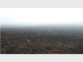 � �������-���� ���������� ���� ���� 150 �������� �����������. ����