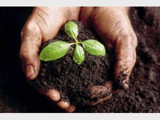 � 2015 ���� ������������ ������ ����� 25% �������� ������ ������