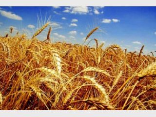 ������� ������� ��� �������� �������� �������� ����? 