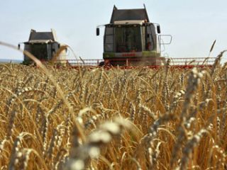 ������� ���������� �������� ������� �� ����� �������