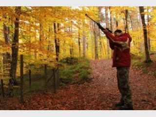 ����������� ��������� �������� ������ ����������������� ������