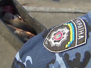 ����������� ������� ������ ���������� �������� �� ���������� ������������