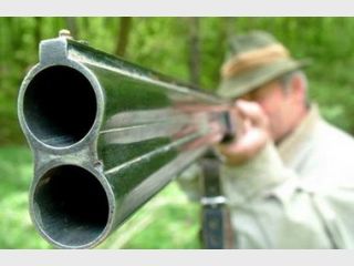 � ��������, ������� ���������� ������ �� VIP-�����, ����� �������� � ��������