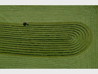 ���� ������: ��� ����������� ����� ������� ������������ �������