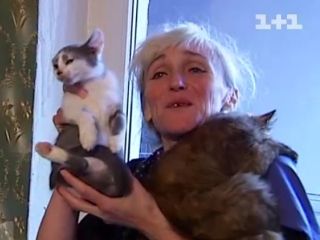 ��������� � ������������� �������� �������� 44 ����