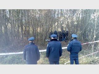 ���-���������� ���� ������� 