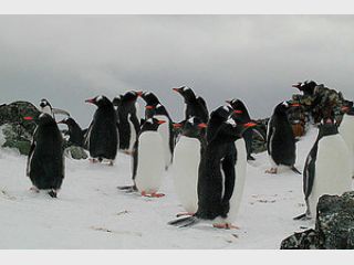 �� ���������� ������� � ���������� ���������� ���������� 