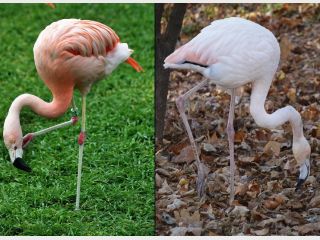 � �������� �������� �������� ������ �������� �� 200 ����� ������