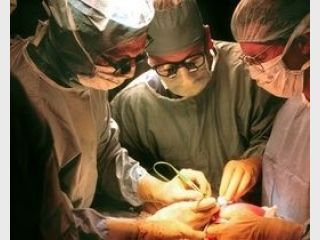 �������� ������� �������� �� ��������� ������������� 28 ����������� �������