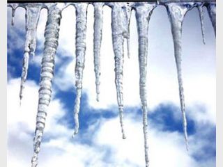 �� �������� ����� ����� ������� ������ �����������