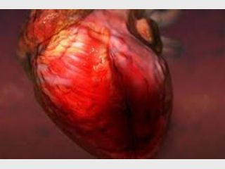 ������ ��� � ������� ������� 400 ����� �����������