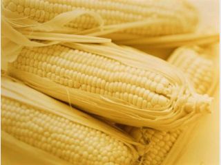 ����� ������� ������ ������� ���������� ��������