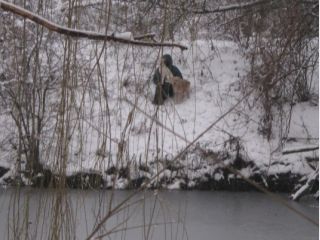 ������ �������� ���� ����� ������ �� �������, ��� ������� ������ ������