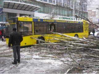 � ������ ����� �������� ������ ����� �� �������