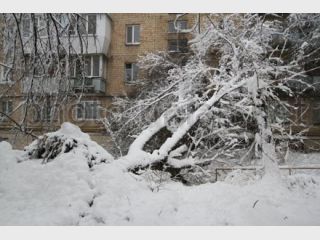 �������� �������� ��� ����� 577 ���������� ������� �������