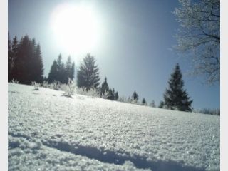 ����� ��� ���� 18 ���������