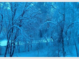 ������ � ����������� ������� ��������� � ������� �������� �������