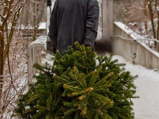 ������� ������ ������ ���� ������� ��������������� �� ���������� ����