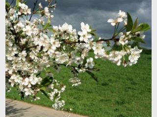 �� ������� ��������� �������� ����� �������� 9 ����