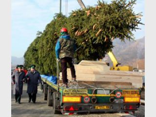 ������������ �������� ������ �� ������� � ���������� ���������� ����