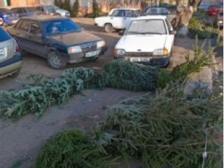 ����� �������������� ���������� ���� ��������� �� ������