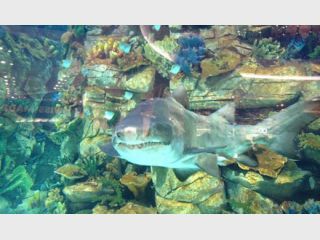 � ����� ��� �� ������ � ������� ������ �����