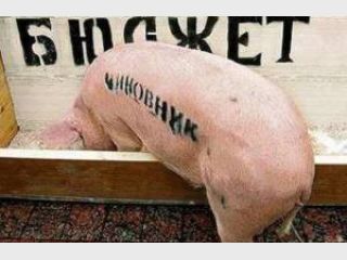 ���� ������� �� �������