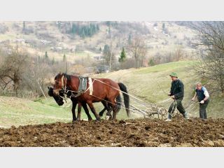 � ������� �������� ���������������