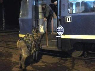 ������� ������� ��������� � ������� ���� 