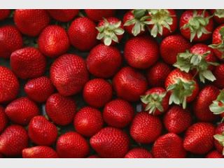 ������ �� 700 �� ����: ��� �������� ���������� �� ��� ���� 