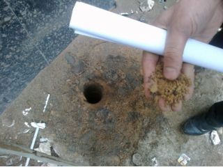 � �������� ����� �� ����� ������� ����� ������ ������������ ��������