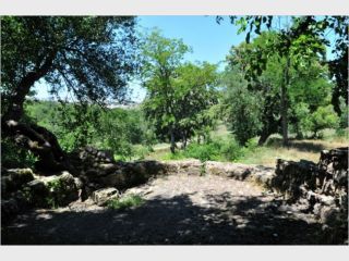 ��������� ���� &mdash; ����������� ���� ��� ������ ����������?