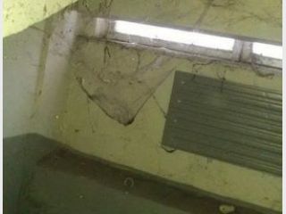 ������� ����������� ������ ����������� ����������� � �������� � ��������� ����������� 