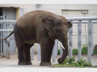 � ��������� �������� �� ����� ����� �������� �����