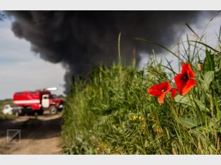 ������ � �����������: ������� ����� �� ����