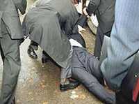 ������ ��������